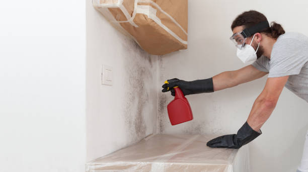 Professional Basement Mold Remediation technician working in Harrisburg, NC