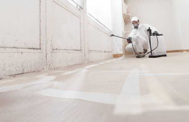 24/7 Emergency Basement Mold Remediation experts in Harrisburg, NC