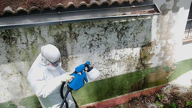 Top rated local Basement Mold Remediation specialists in Harrisburg, NC
